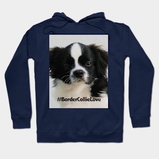 Love Dogs Hoodie